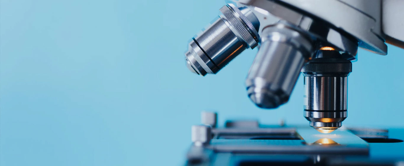 中国·必威(西汉姆联)官方网站